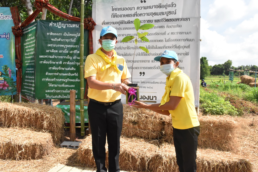 พ่อเมืองมหาสารคาม นำประชาชนจิตอาสาจัดกิจกรรม “จิตอาสาพัฒนาชุมชนเอามื้อสามัคคี” เพื่อเฉลิมพระเกียรติเนื่องในโอกาสมหามงคลเฉลิมพระชนมพรรษา พระบาทสมเด็จพระปรเมนทรรามาธิบดีศรีสินทรมหาวชิราลงกรณ พระวชิรเกล้าเจ้าอยู่หัว