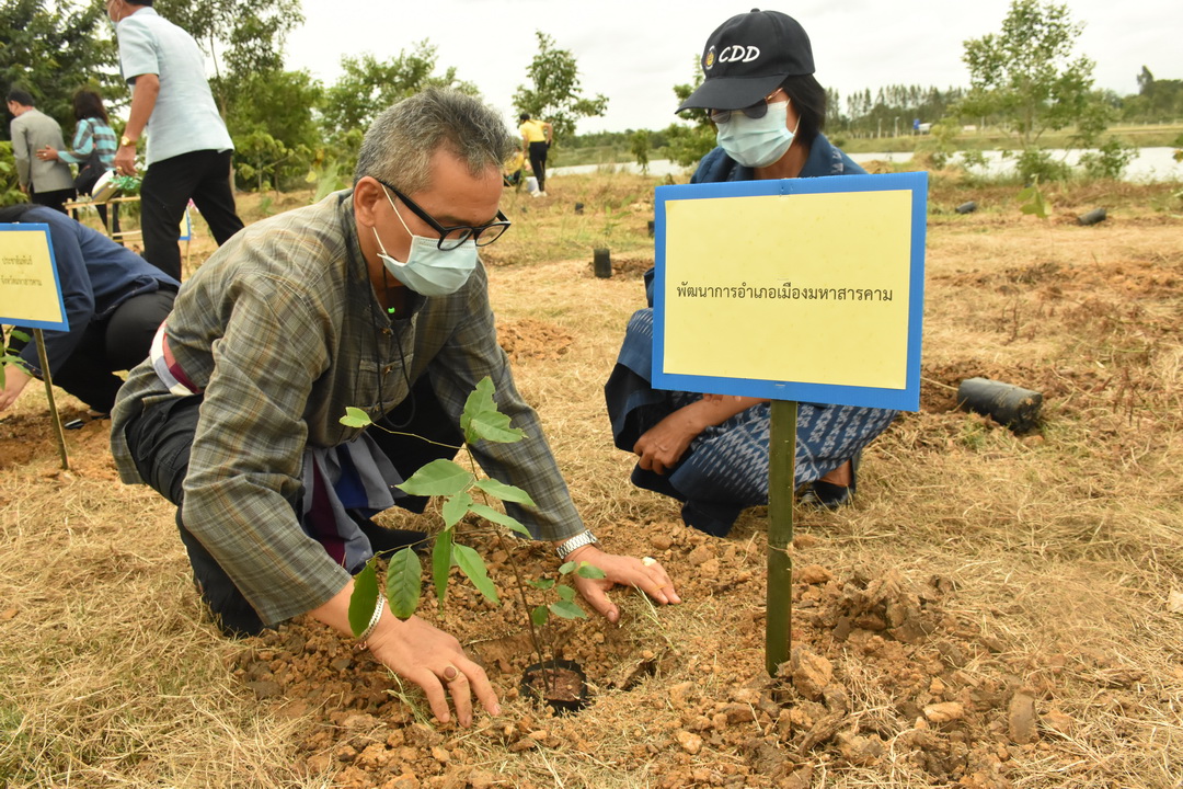 บริษัท ประชารัฐรักสามัคคีมหาสารคามฯ บูรณาการทำงานทุกภาคส่วน จัดกิจกรรม “ปลูกป่าปล่อยปลา” เฉลิมพระเกียรติเนื่องในโอกาสมหามงคลเฉลิมพระชนมพรรษา พระบาทสมเด็จพระปรเมนทรรามาธิบดีศรีสินทร มหาวชิราลงกรณพระวชิรเกล้าเจ้าอยู่หัว