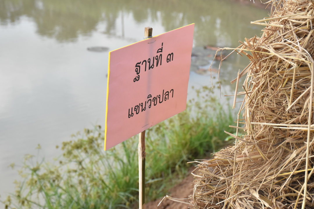 พ่อเมืองมหาสารคาม นำประชาชนจิตอาสาจัดกิจกรรม “จิตอาสาพัฒนาชุมชนเอามื้อสามัคคี” เพื่อเฉลิมพระเกียรติเนื่องในโอกาสมหามงคลเฉลิมพระชนมพรรษา พระบาทสมเด็จพระปรเมนทรรามาธิบดีศรีสินทรมหาวชิราลงกรณ พระวชิรเกล้าเจ้าอยู่หัว