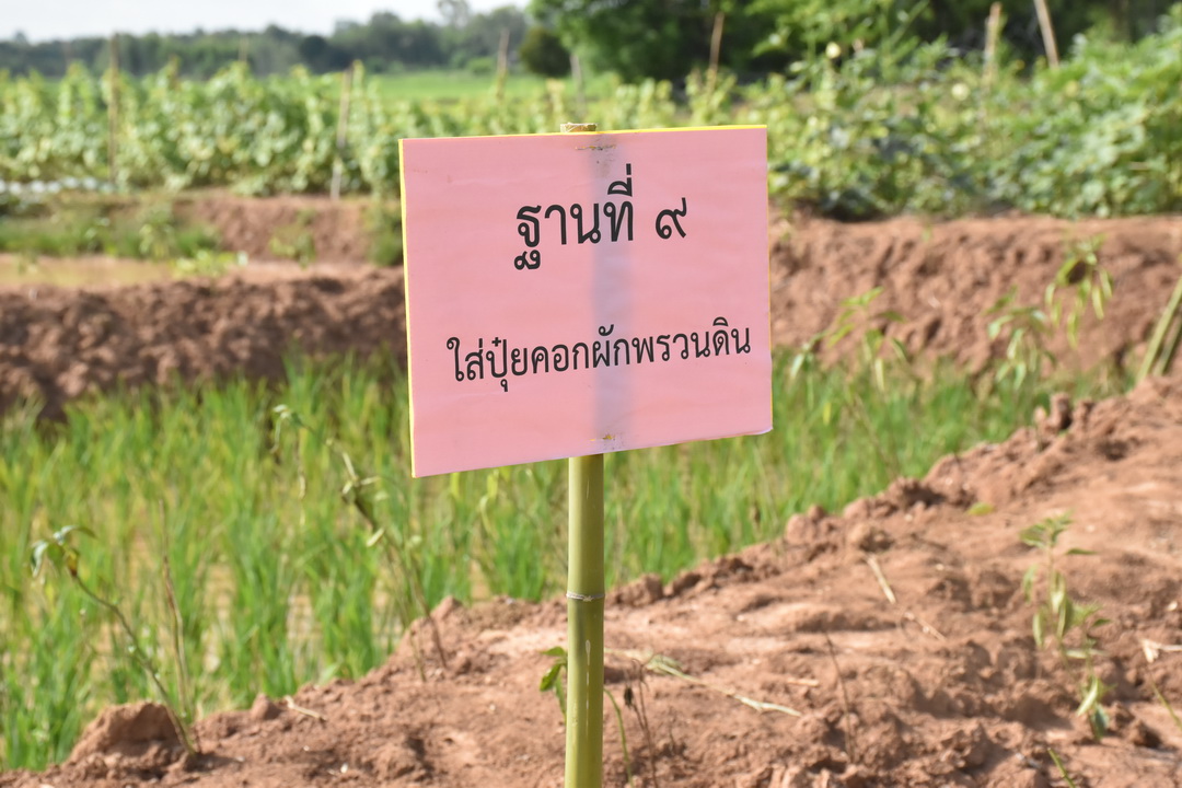 พ่อเมืองมหาสารคาม นำประชาชนจิตอาสาจัดกิจกรรม “จิตอาสาพัฒนาชุมชนเอามื้อสามัคคี” เพื่อเฉลิมพระเกียรติเนื่องในโอกาสมหามงคลเฉลิมพระชนมพรรษา พระบาทสมเด็จพระปรเมนทรรามาธิบดีศรีสินทรมหาวชิราลงกรณ พระวชิรเกล้าเจ้าอยู่หัว