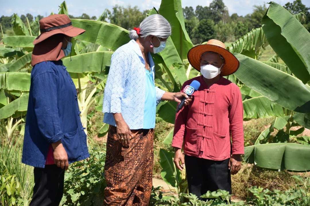 พช.มหาสารคาม ร่วมถ่ายทำรายการ “ประเด็นเด่น สุดสัปดาห์” และ รายการ “เศรษฐีบ้านทุ่ง” ออกอากาศทางช่อง ททบ. 5 เพื่อประชาสัมพันธ์งาน “โคก หนอง นา พัฒนาชุมชน”