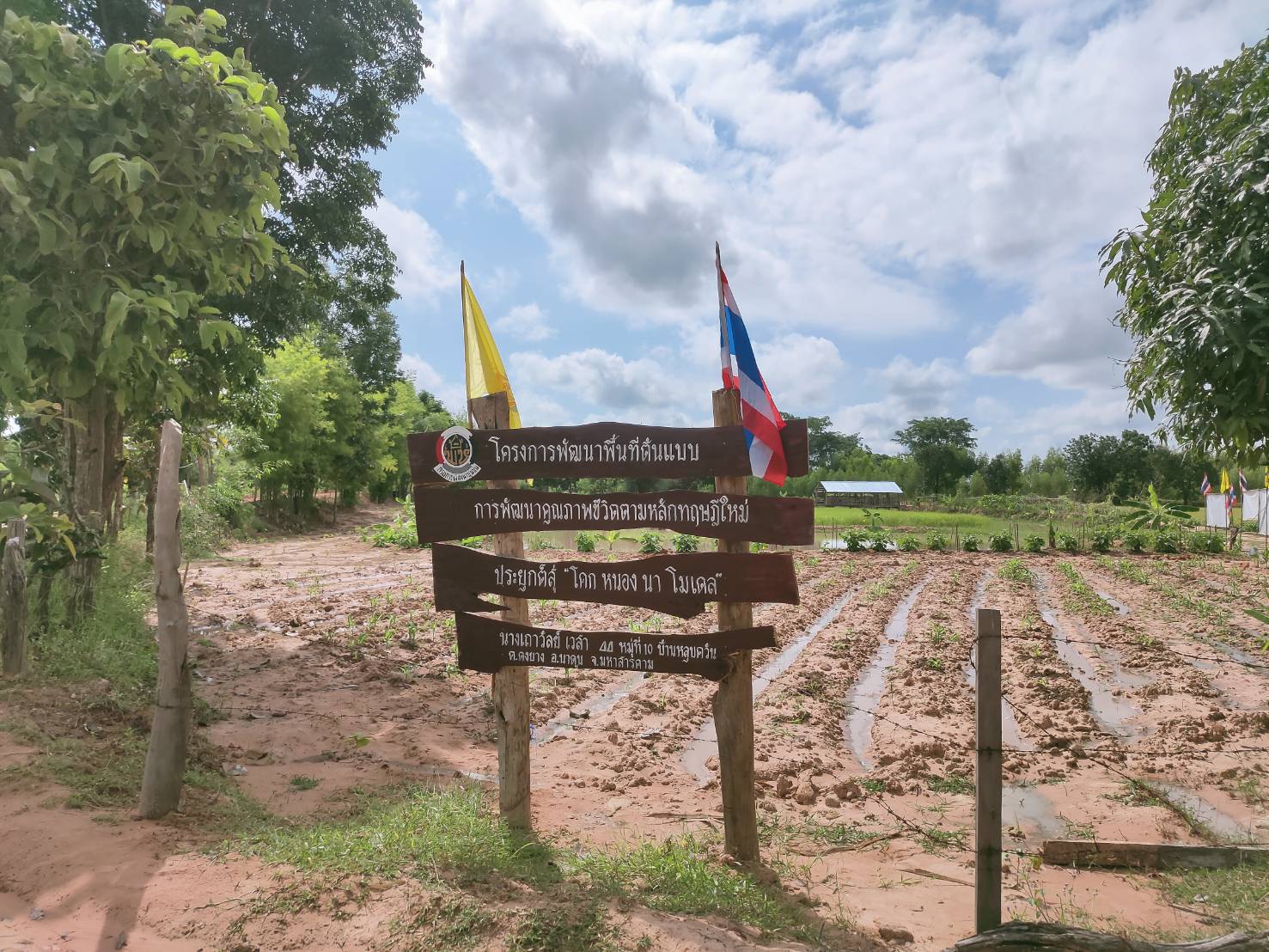 สพอ.นาดูน จ.มหาสารคาม ร่วมกับครัวเรือนต้นแบบ ภาคี เครือข่าย จัดกิจกรรมเอามื้อสามัคคี ณ แปลงโคกหนองนา