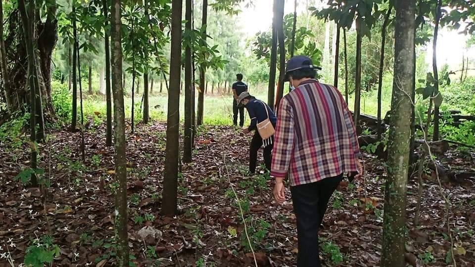 พช. มหาสารคาม “รวมน้ำใจช่วยเหลือผู้ประสบอุทกภัย จังหวัดมหาสารคาม”