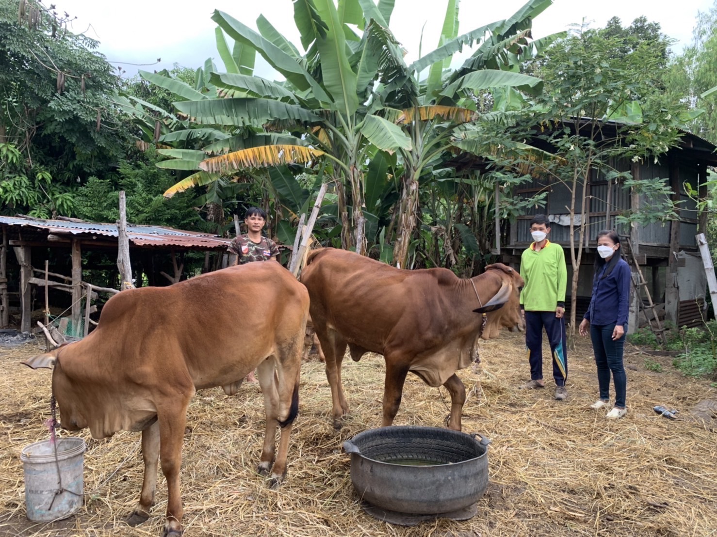ติดตามครัวเรือนที่ผ่านการอบรมโครงการสนับสนุนกิจกรรมศูนย์เรียนรู้แบบหนุนเสริมสัมมาชีพชุมชนแก่เยาวชนกลุ่มเสี่ยงและผู้ผ่านการบำบัด โดยศูนย์เรียนรู้กองทุนแม่ของแผ่นดิน