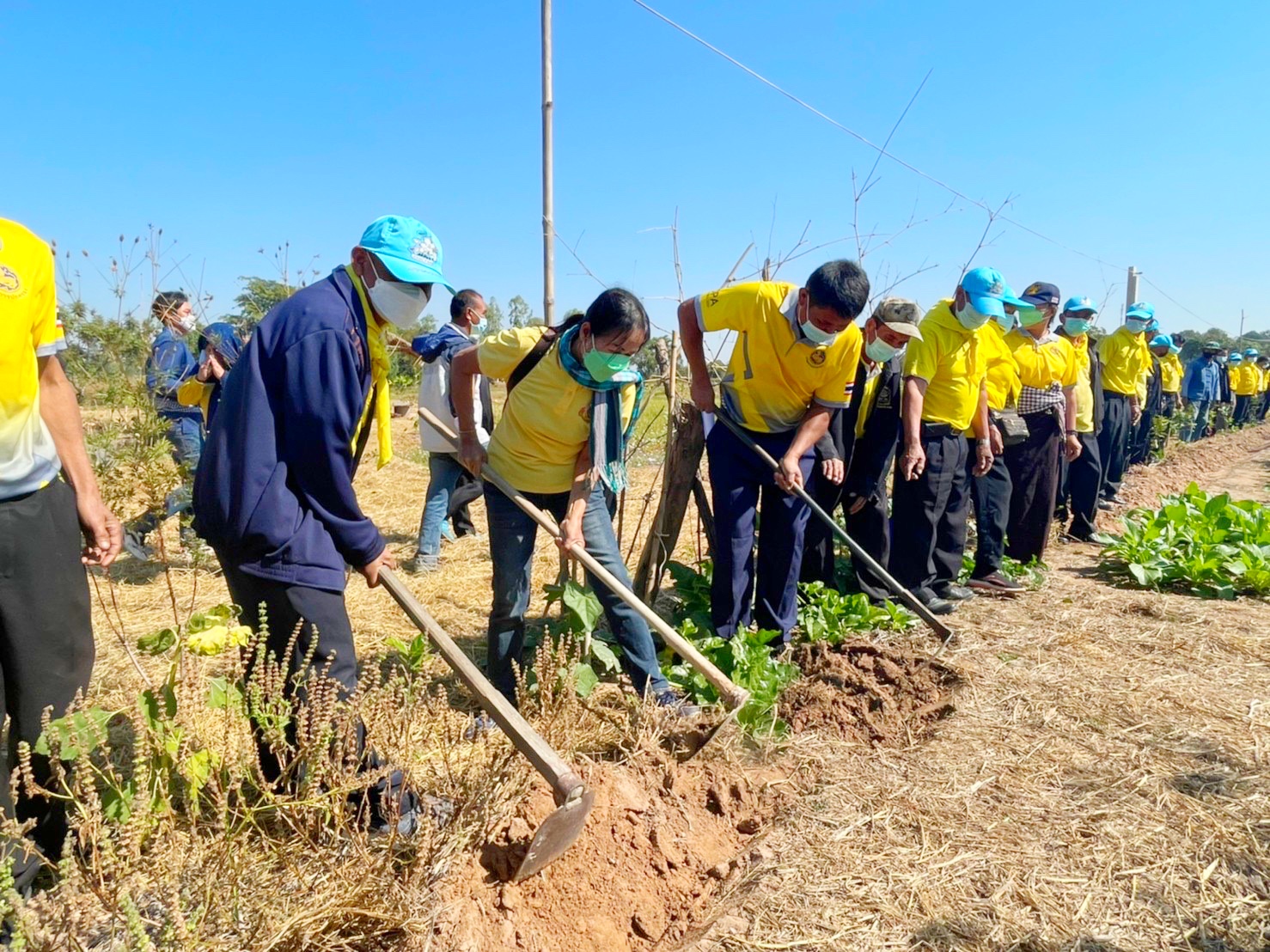 ?พช.มหาสารคามจัดกิจกรรมวันดินโลก (World Soil Day) ปี ๒๕๖๔