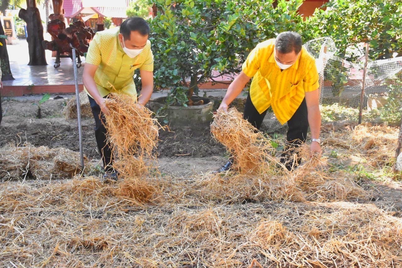 ? พช.มหาสารคาม บูรณาการ “บวร” ( บ้าน วัด ราชการ) จัดกิจกรรม “สัปดาห์การพัฒนา” ประจำปี 2564