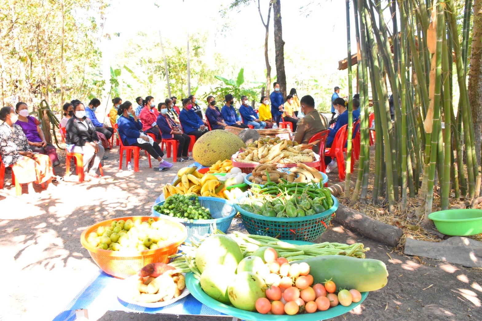 พช.มหาสารคาม เฟ้นหาครัวเรือน โคก หนอง นา พัฒนาชุมชน ต้นแบบระดับจังหวัด