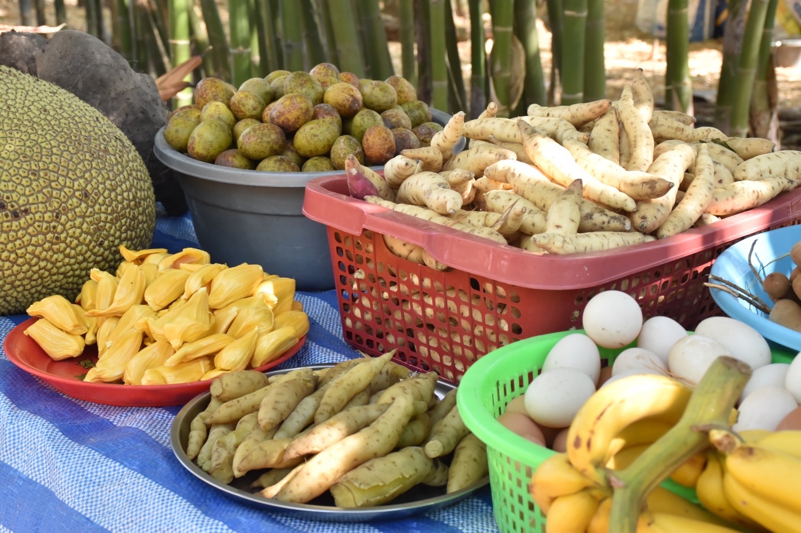 พช.มหาสารคาม เฟ้นหาครัวเรือน โคก หนอง นา พัฒนาชุมชน ต้นแบบระดับจังหวัด