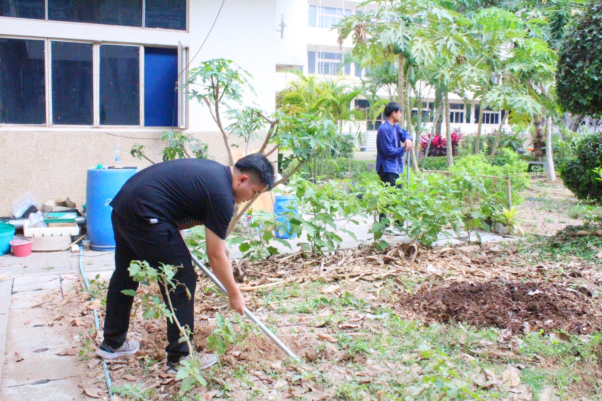 พัฒนาการจังหวัดมหาสารคามนำทีมปรับปรุงภูมิทัศน์ ลานจตุรมุข ศาลากลางจังหวัดมหาสารคาม