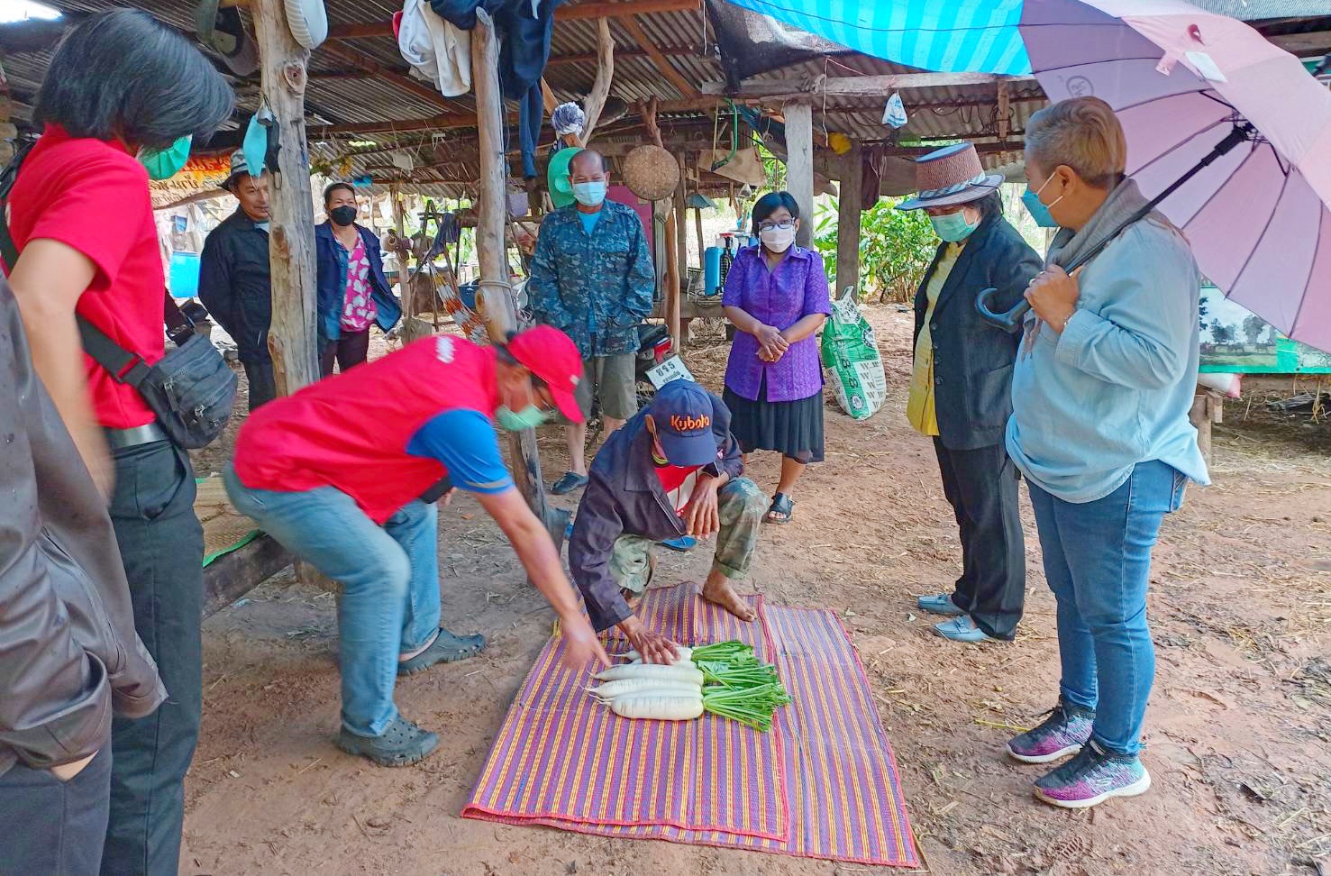 พช.มหาสารคามร่วมกับบริษัทประชารัฐรักสามัคคีมหาสารคาม(วิสาหกิจเพื่อสังคม)จำกัด ในฐานะคณะทำงานด้านการพัฒนาเศรษฐกิจฐานรากและประชารัฐ (E3)พร้อมด้วยผู้แทนบริษัท แม็คโคร ลงพื้นที่เยี่ยมแปลงเกษตรกร
