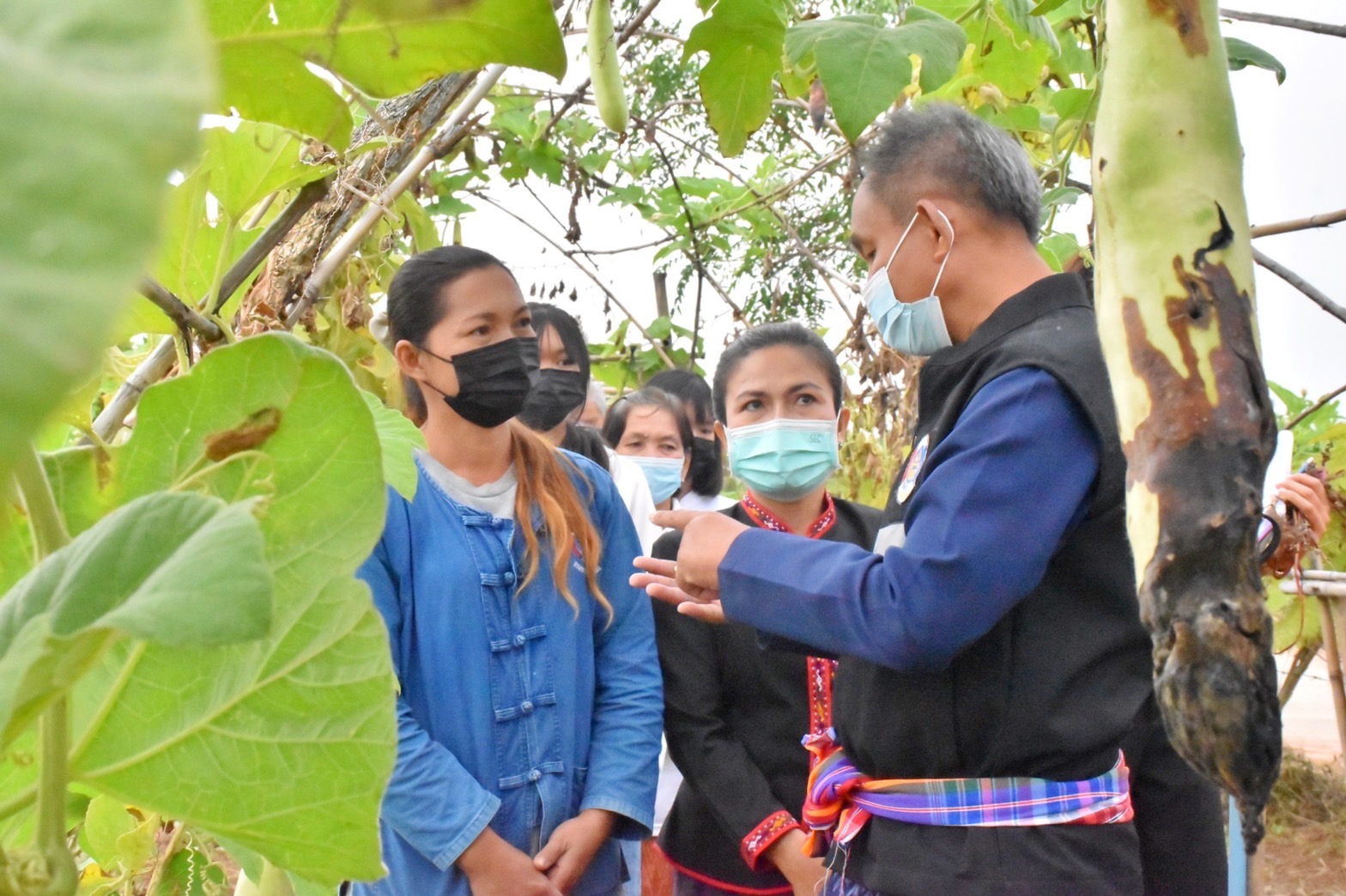 พช.มหาสารคาม “ประกวดครัวเรือนต้นแบบ โคก หนอง นา พัฒนาชุมชนจังหวัดมหาสารคาม ประจำปี 2565” ณ แปลงครัวเรือนต้นแบบ โคก หนอง นา พัฒนาชุมชน (ขนาด 3 ไร่)  นายสมอน ก่านแก้ว หมู่ที่ 8 ตำบลดอนงัว อำเภอบรบือ จังหวัดมหาสารคาม