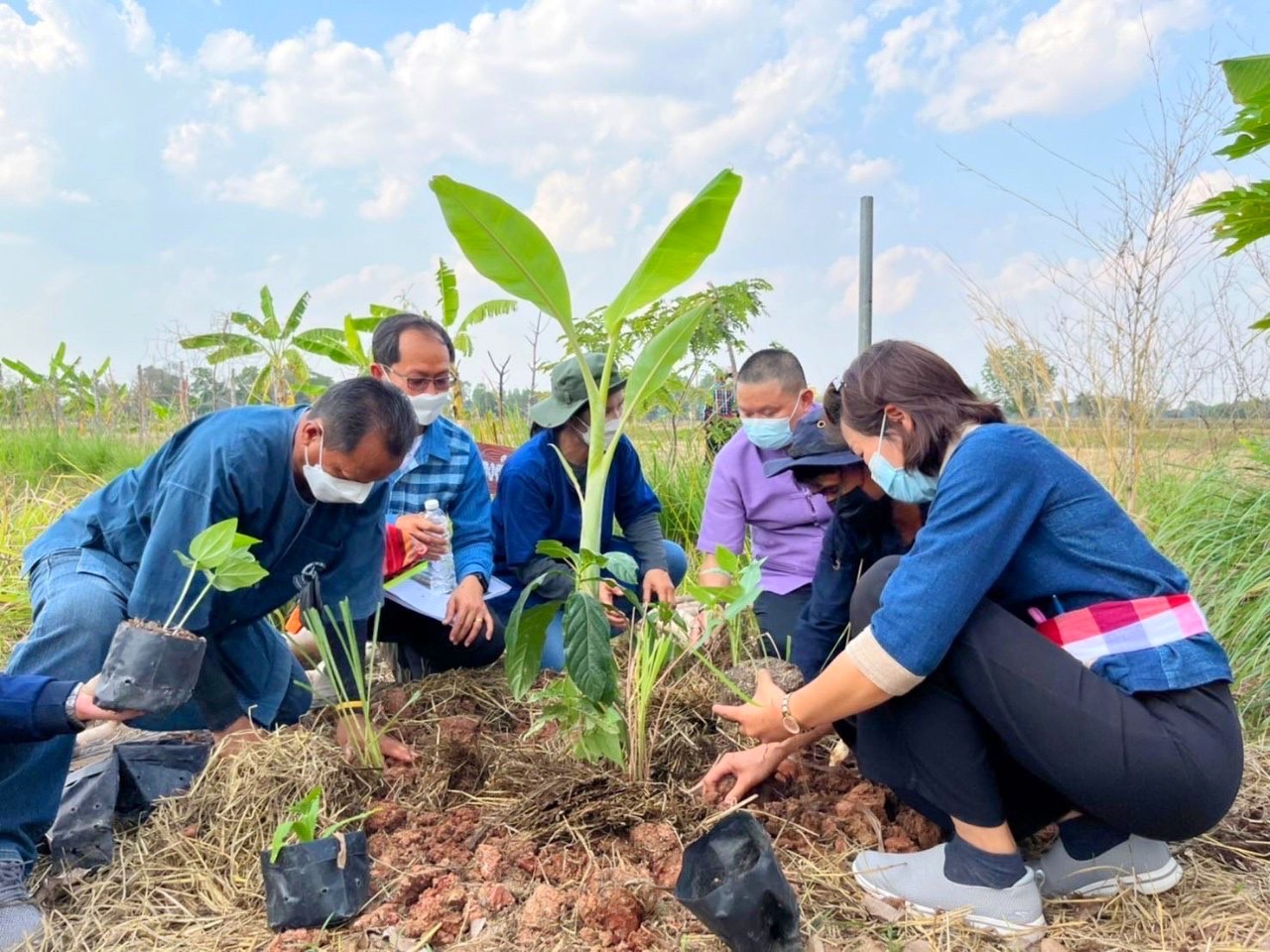 พช.มหาสารคาม “ประกวดครัวเรือนต้นแบบ โคก หนอง นา พัฒนาชุมชนจังหวัดมหาสารคาม ประจำปี 2565” ณ แปลงครัวเรือนต้นแบบ โคก หนอง นา พัฒนชุมชน นายบุญช่วย สุปะติ หมู่ที่ 9 ตำบลหนองทุ่ม อำเภอวาปีปทุม จังหวัดมหาสารคาม