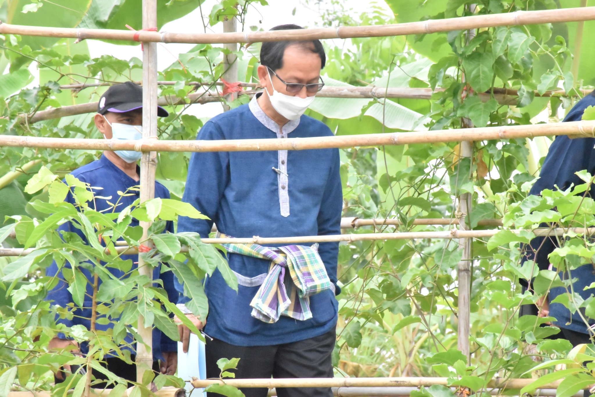 พช.มหาสารคาม “ประกวดครัวเรือนต้นแบบ โคก หนอง นา พัฒนาชุมชนจังหวัดมหาสารคาม ประจำปี 2565” ณ แปลงครัวเรือนต้นแบบ โคก หนอง นา พัฒนาชุมชน นายธีระ ดงเสือ หมู่ที่ 14 ตำบลเลิงแฝก อำเภอกุดรัง จังหวัดมหาสารคาม