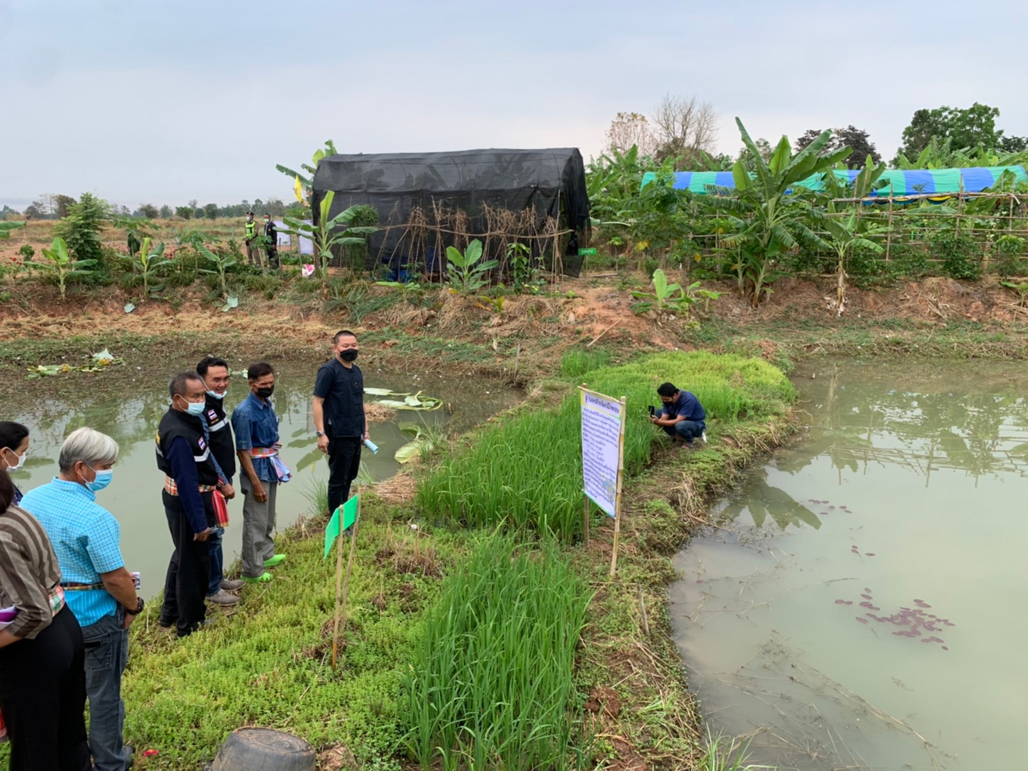 พช.มหาสารคาม “ประกวดครัวเรือนต้นแบบ โคก หนอง นา พัฒนาชุมชนจังหวัดมหาสารคาม ประจำปี 2565” ณ แปลงครัวเรือนต้นแบบ โคก หนอง นา พัฒนาชุมชน นายธีระ ดงเสือ หมู่ที่ 14 ตำบลเลิงแฝก อำเภอกุดรัง จังหวัดมหาสารคาม