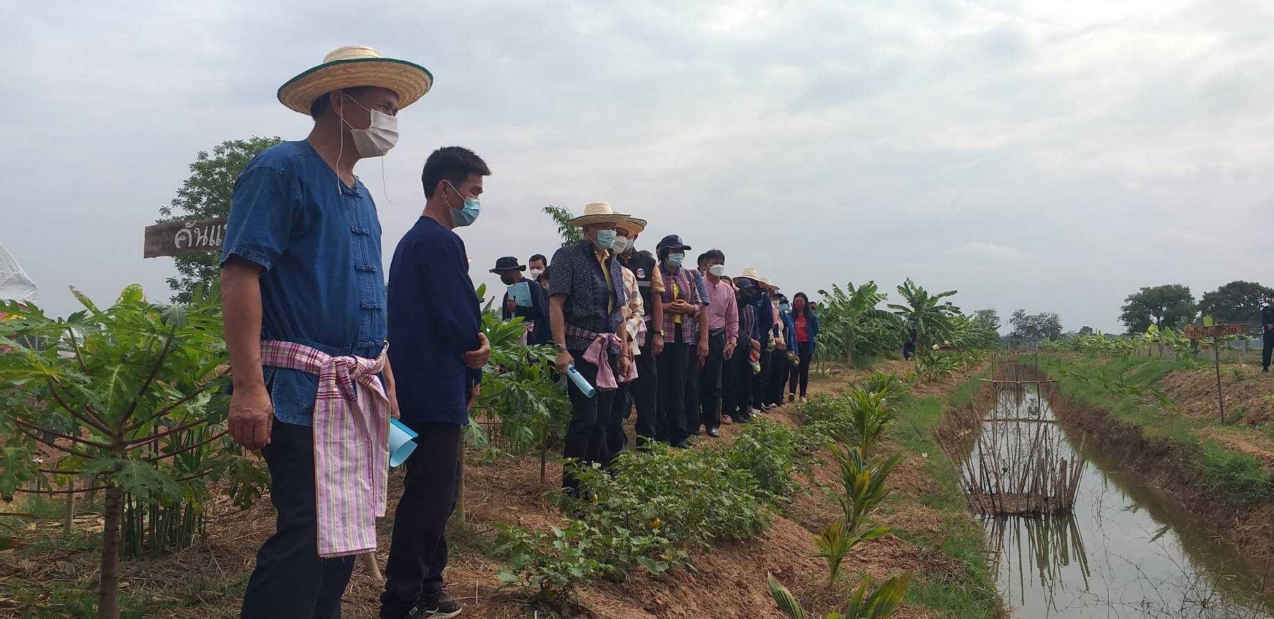 พช.มหาสารคาม “ประกวดครัวเรือนต้นแบบ โคก หนอง นา พัฒนาชุมชนจังหวัดมหาสารคาม ประจำปี 2565” ณ แปลงครัวเรือนต้นแบบ โคก หนอง นา พัฒนาชุมชน (ขนาด 3 ไร่)  นายวีรพล พลเดช หมู่ที่ 13 ตำบลศรีสุข อำเภอกันทรวิชัย จังหวัดมหาสารคาม