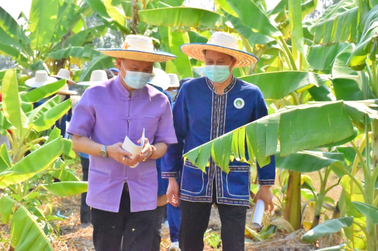 พช.มหาสารคาม “ประกวดครัวเรือนต้นแบบ โคก หนอง นา พัฒนาชุมชนจังหวัดมหาสารคาม ประจำปี 2565” ณ แปลงครัวเรือนต้นแบบ โคก หนอง นา พัฒนชุมชน (ขนาด 3 ไร่)  นายวีระ ปุยสุวรรณ หมู่ที่ 3 ตำบลบ้านกู่ อำเภอยางสีสุราช จังหวัดมหาสารคาม