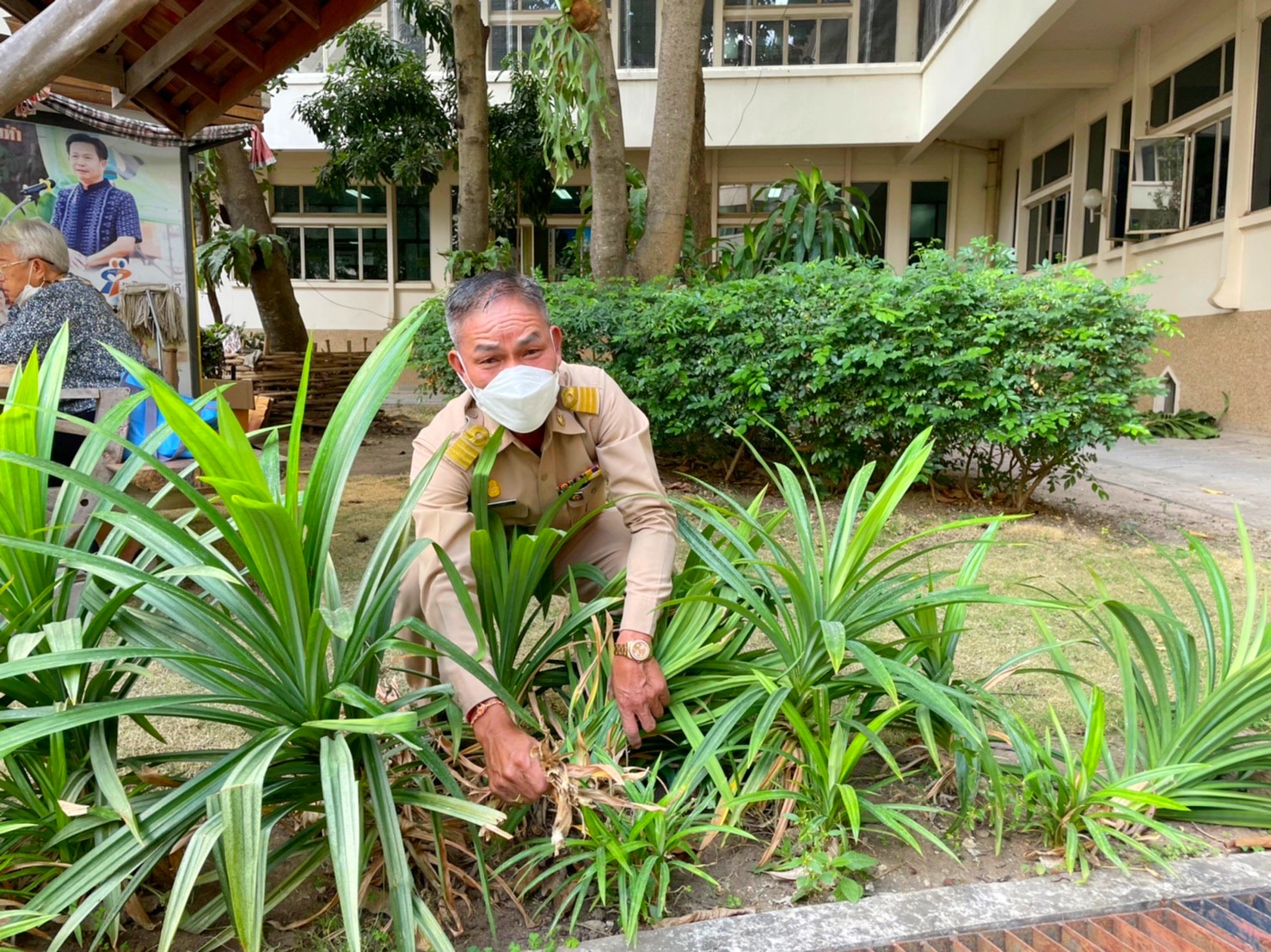พัฒนาการจังหวัดมหาสารคามนำทีมปรับปรุงภูมิทัศน์ ลานจตุรมุข ศาลากลางจังหวัดมหาสารคาม