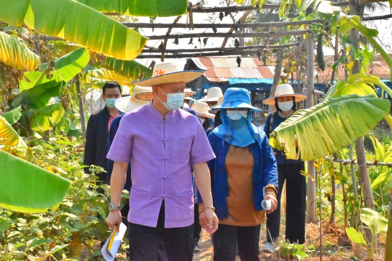 พช.มหาสารคาม “ประกวดครัวเรือนต้นแบบ โคก หนอง นา พัฒนาชุมชนจังหวัดมหาสารคาม ประจำปี 2565” ณ แปลงครัวเรือนต้นแบบ โคก หนอง นา พัฒนชุมชน (ขนาด 3 ไร่)  นายวีระ ปุยสุวรรณ หมู่ที่ 3 ตำบลบ้านกู่ อำเภอยางสีสุราช จังหวัดมหาสารคาม