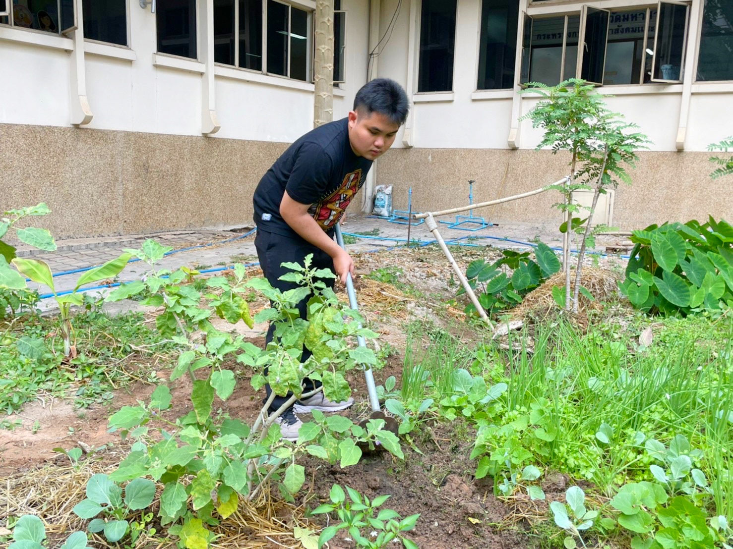 พัฒนาการจังหวัดมหาสารคามนำทีมปรับปรุงภูมิทัศน์ ลานจตุรมุข ศาลากลางจังหวัดมหาสารคาม