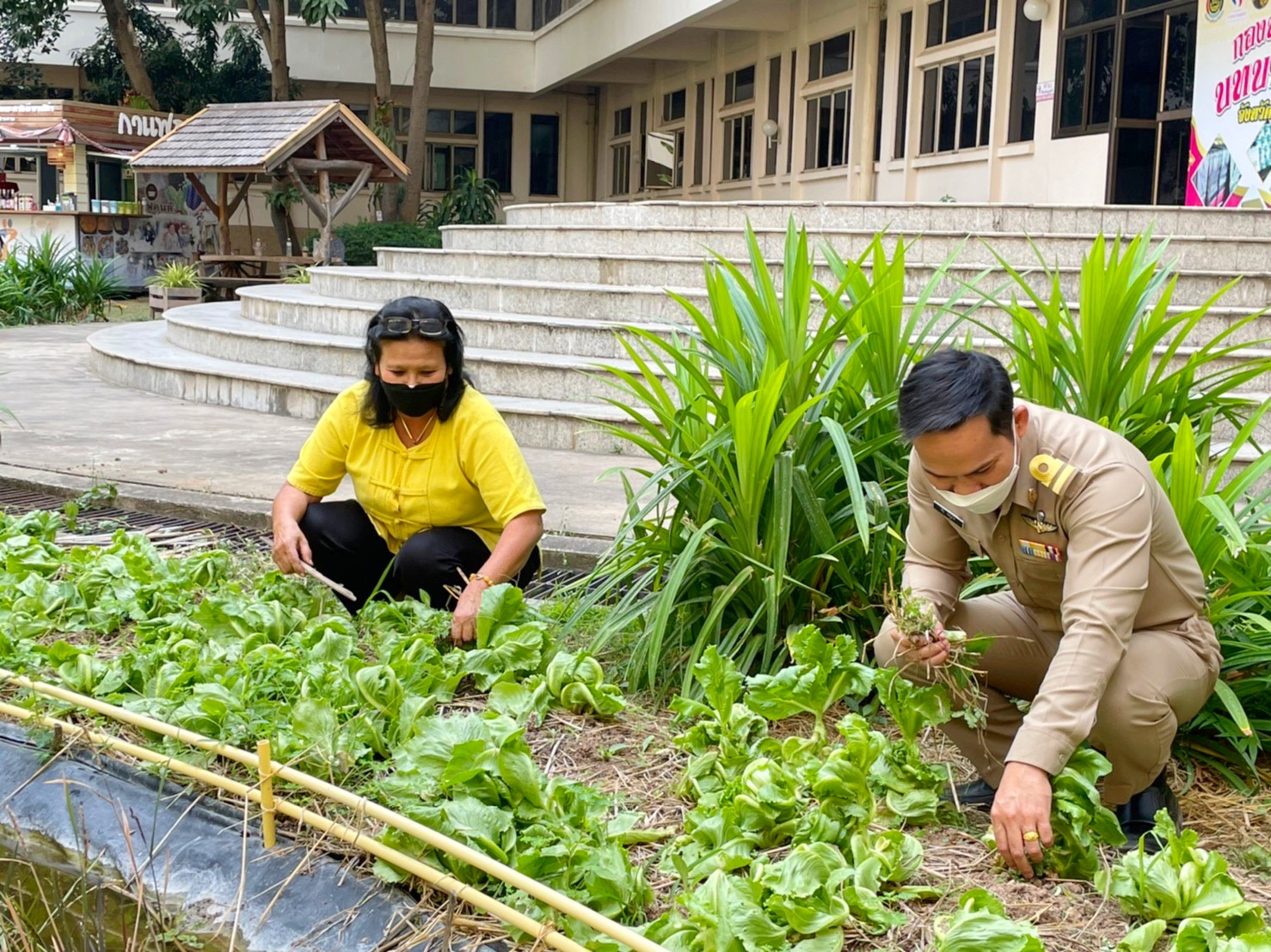 พัฒนาการจังหวัดมหาสารคามนำทีมปรับปรุงภูมิทัศน์ ลานจตุรมุข ศาลากลางจังหวัดมหาสารคาม