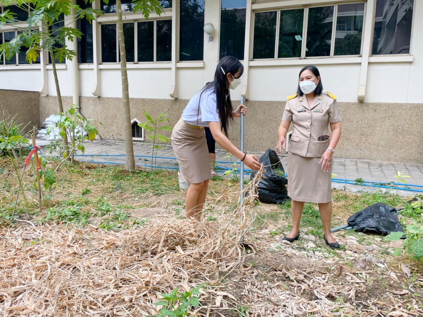 พัฒนาการจังหวัดมหาสารคามนำทีมปรับปรุงภูมิทัศน์ ลานจตุรมุข ศาลากลางจังหวัดมหาสารคาม