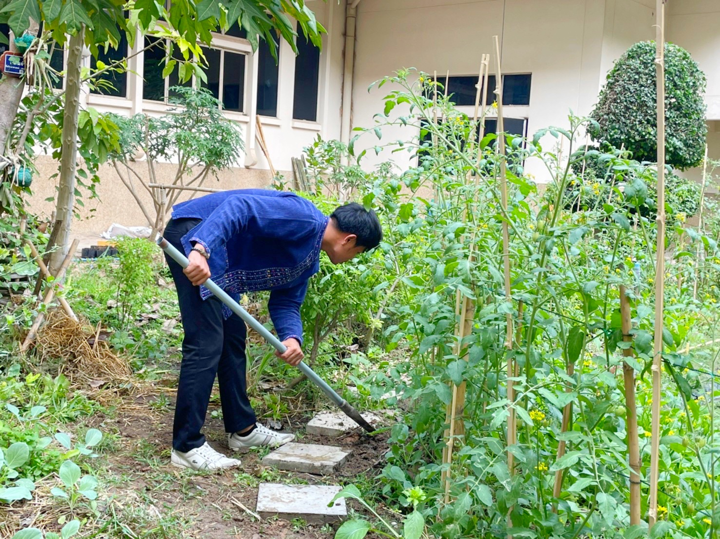 พัฒนาการจังหวัดมหาสารคามนำทีมปรับปรุงภูมิทัศน์ ลานจตุรมุข ศาลากลางจังหวัดมหาสารคาม