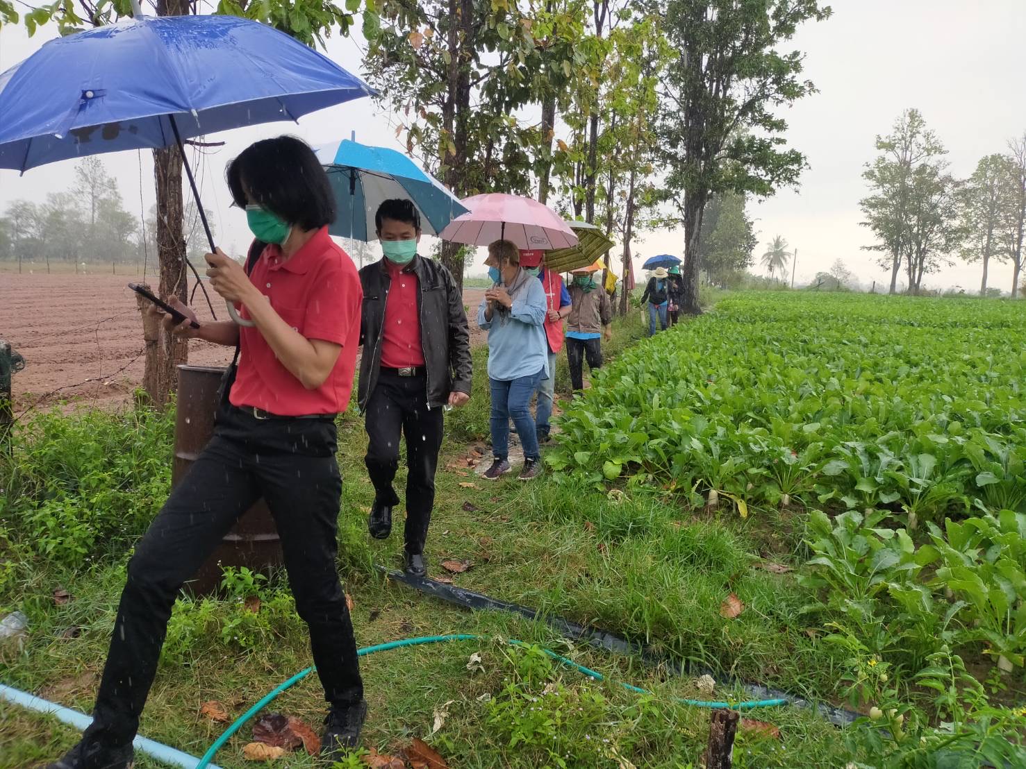 พช.มหาสารคามร่วมกับบริษัทประชารัฐรักสามัคคีมหาสารคาม(วิสาหกิจเพื่อสังคม)จำกัด ในฐานะคณะทำงานด้านการพัฒนาเศรษฐกิจฐานรากและประชารัฐ (E3)พร้อมด้วยผู้แทนบริษัท แม็คโคร ลงพื้นที่เยี่ยมแปลงเกษตรกร
