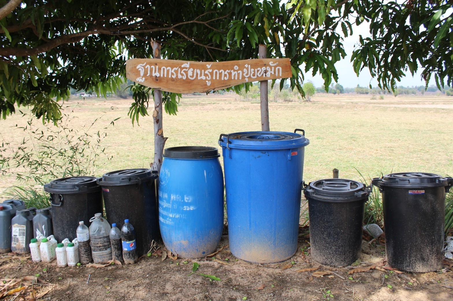 พช.มหาสารคาม “ประกวดครัวเรือนต้นแบบ โคก หนอง นา พัฒนาชุมชนจังหวัดมหาสารคาม ประจำปี 2565” ณ แปลงครัวเรือนต้นแบบ โคก หนอง นา พัฒนาชุมชน (ขนาด 1 ไร่)  นางนวลศรี กองน้อย หมู่ที่ 3 ตำบลมิตรภาพ อำเภอแกดำ จังหวัดมหาสารคาม