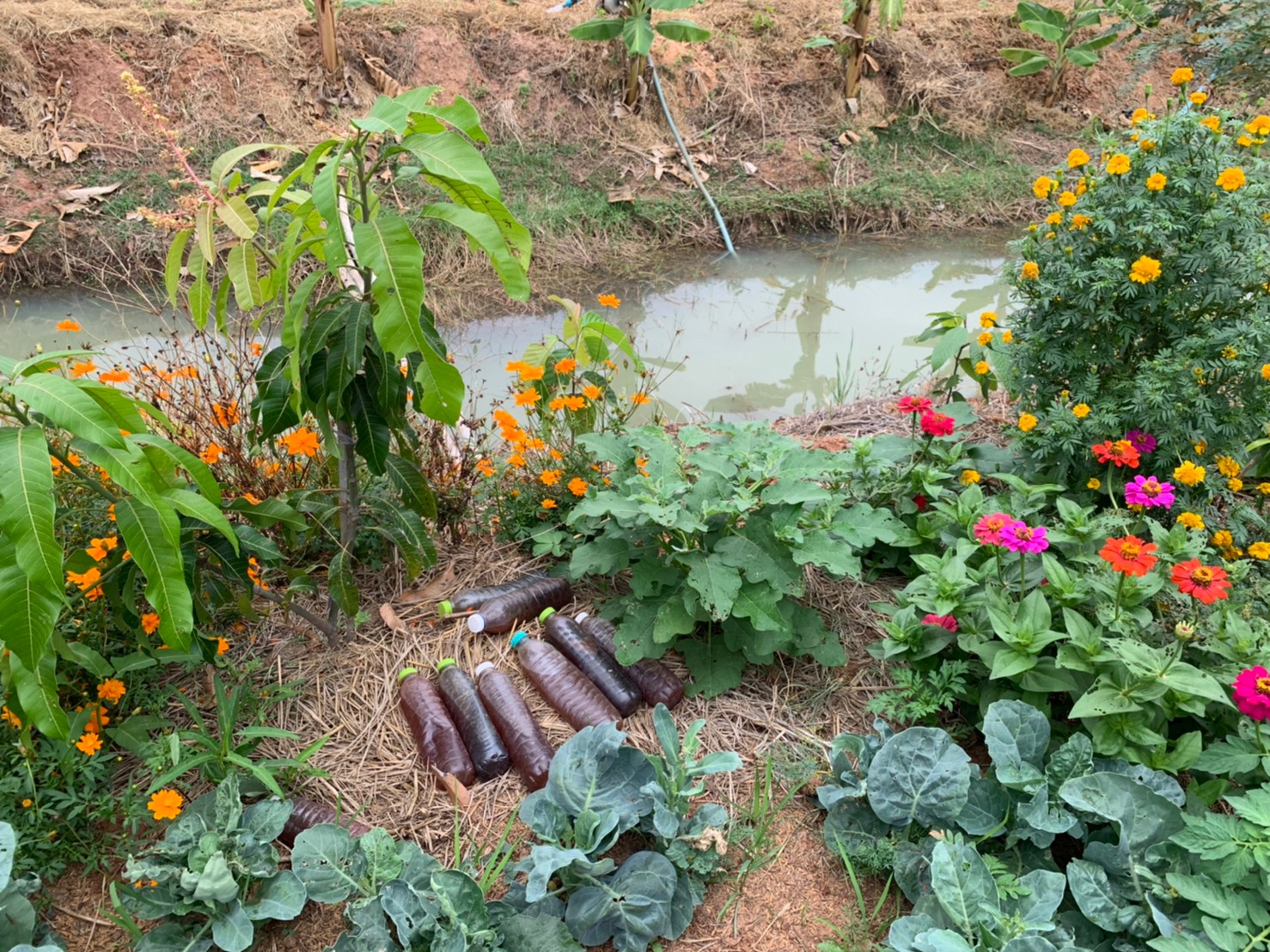 พช.มหาสารคาม “ประกวดครัวเรือนต้นแบบ โคก หนอง นา พัฒนาชุมชนจังหวัดมหาสารคาม ประจำปี 2565” ณ แปลงครัวเรือนต้นแบบ โคก หนอง นา พัฒนาชุมชน นายธีระ ดงเสือ หมู่ที่ 14 ตำบลเลิงแฝก อำเภอกุดรัง จังหวัดมหาสารคาม