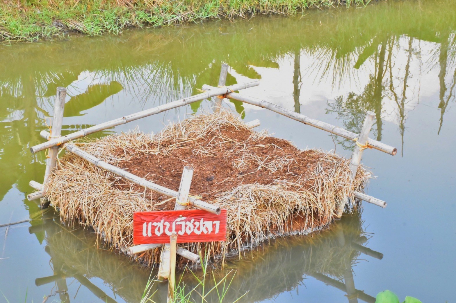 พช.มหาสารคาม “ประกวดครัวเรือนต้นแบบ โคก หนอง นา พัฒนาชุมชนจังหวัดมหาสารคาม ประจำปี 2565” ณ แปลงครัวเรือนต้นแบบ โคก หนอง นา พัฒนชุมชน นายบุญช่วย สุปะติ หมู่ที่ 9 ตำบลหนองทุ่ม อำเภอวาปีปทุม จังหวัดมหาสารคาม