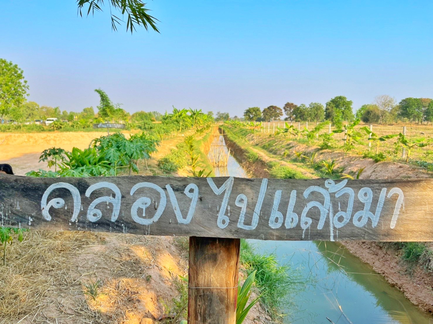 รองอธิบดี พช.(นายสุรศักดิ์ อักษรกุล) พร้อมคณะ ลงพื้นที่ติดตามผลการดำเนินโครงการ “โคก หนอง นา พช.” จ.มหาสารคาม พร้อมเยี่ยมชมตลาดถนนคนเดินออนซอนกันทรวิชัย ที่จัดขึ้นตามนโยบายการส่งเสริมและกระตุ้นเศรษฐกิจฐานรากของรัฐบาล