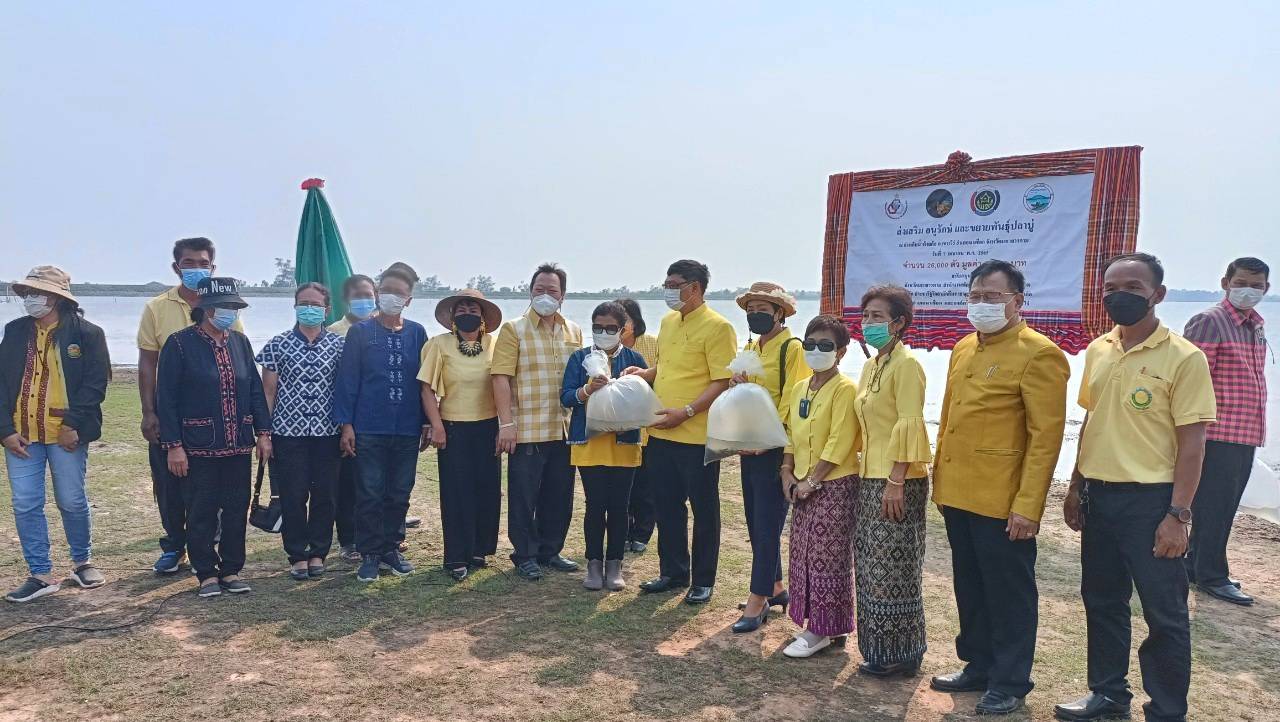 พช.มหาสารคาม ร่วมกับ บริษัทประชารัฐรักสามัคคีมหาสารคาม (วิสาหกิจเพื่อสังคม) จำกัด จัดกิจกรรมปล่อยพันธุ์ปลาบู่เพื่อการอนุรักษ์และการขยายพันธุ์ อ่างเก็บน้ำห้วยค้อ อำเภอนาเชือก จังหวัดมหาสารคาม