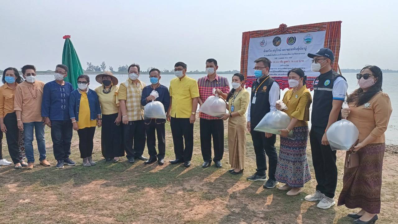 พช.มหาสารคาม ร่วมกับ บริษัทประชารัฐรักสามัคคีมหาสารคาม (วิสาหกิจเพื่อสังคม) จำกัด จัดกิจกรรมปล่อยพันธุ์ปลาบู่เพื่อการอนุรักษ์และการขยายพันธุ์ อ่างเก็บน้ำห้วยค้อ อำเภอนาเชือก จังหวัดมหาสารคาม