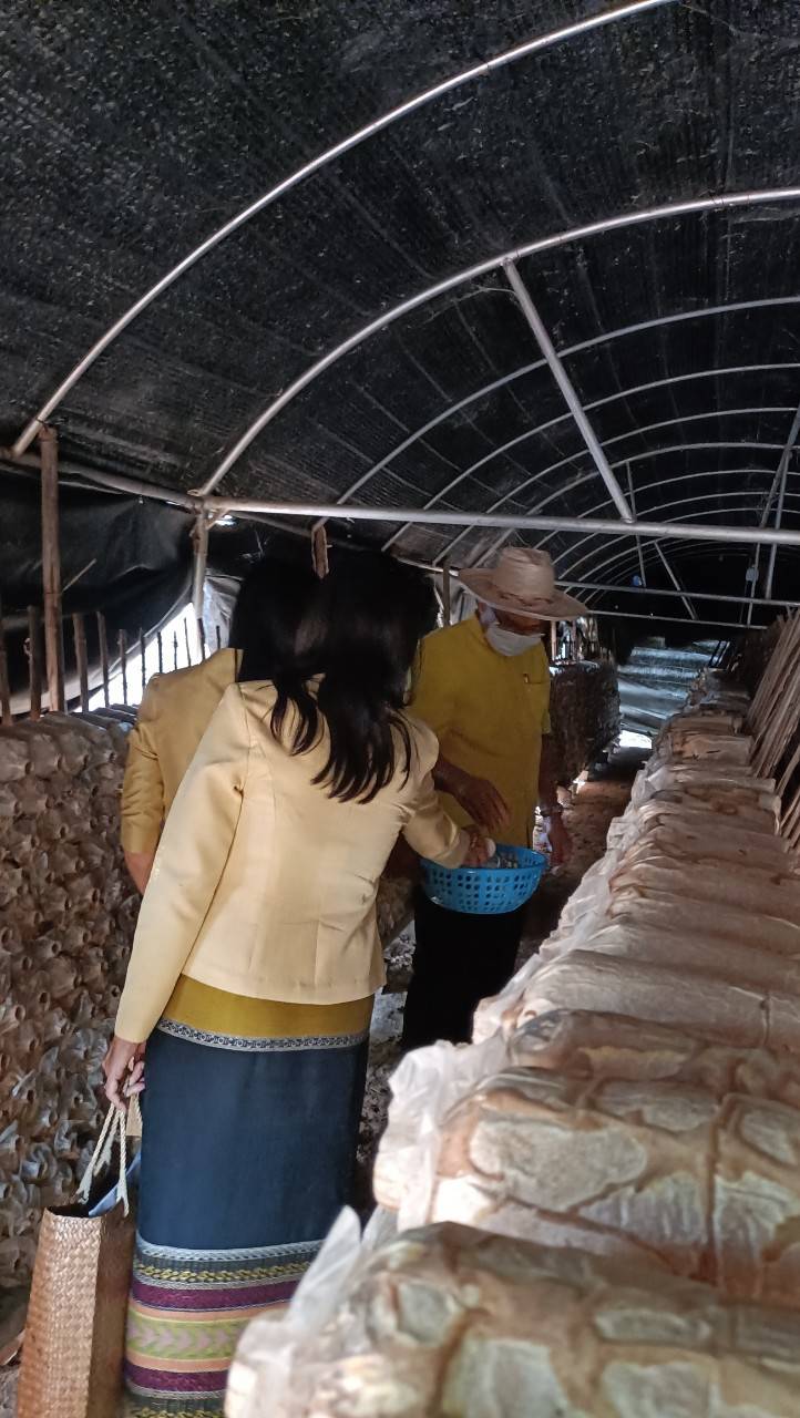 นายธรรมนูญ  แก้วคำ รองผู้ว่าราชการจังหวัดมหาสารคาม เยี่ยมชม ศูนย์ผู้นำจิตอาสาพัฒนาชุมชน ตำบลเขวาไร่ อำเภอนาเชือก