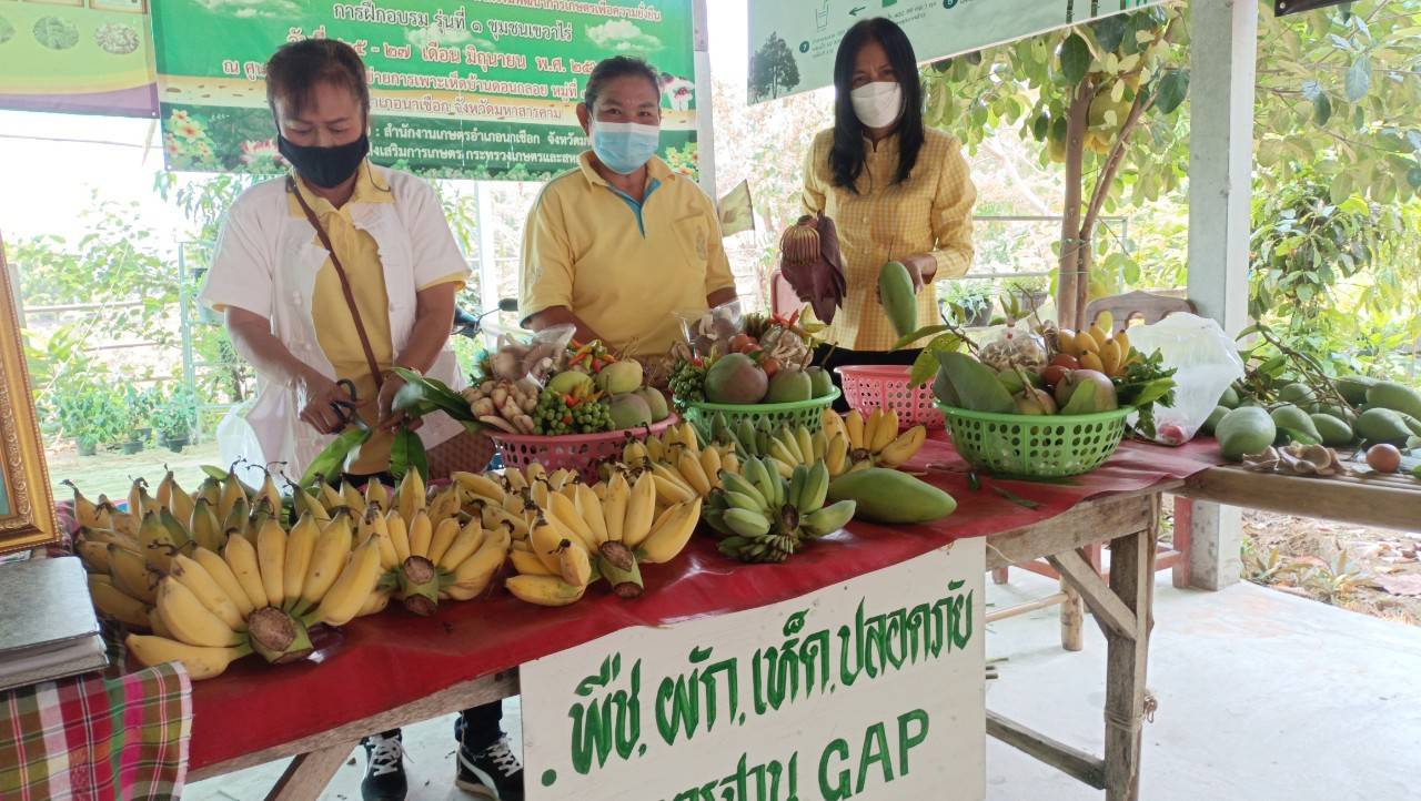 นายธรรมนูญ  แก้วคำ รองผู้ว่าราชการจังหวัดมหาสารคาม เยี่ยมชม ศูนย์ผู้นำจิตอาสาพัฒนาชุมชน ตำบลเขวาไร่ อำเภอนาเชือก