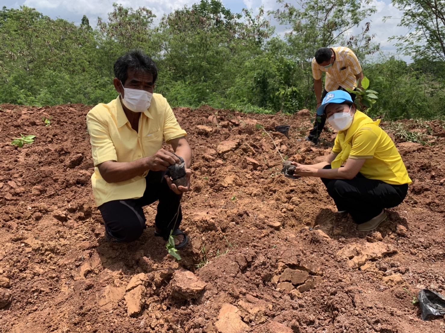 พช.รวมใจไทย ปลูกต้นไม้ เพื่อแผ่นดิน สืบสานสู่ 100 ล้านต้น