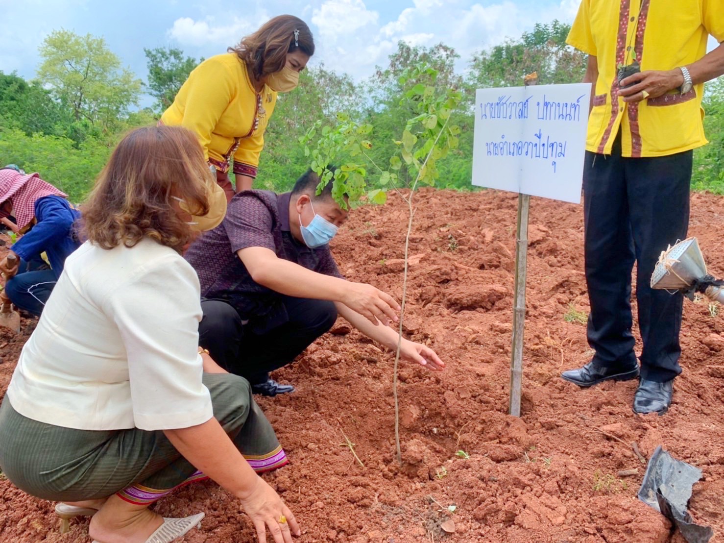 พช.รวมใจไทย ปลูกต้นไม้ เพื่อแผ่นดิน สืบสานสู่ 100 ล้านต้น