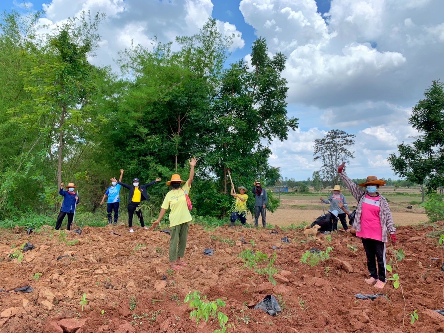 พช.รวมใจไทย ปลูกต้นไม้ เพื่อแผ่นดิน สืบสานสู่ 100 ล้านต้น