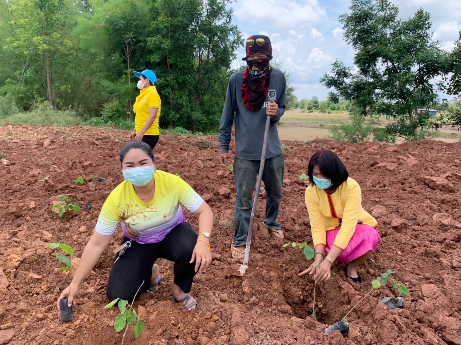 พช.รวมใจไทย ปลูกต้นไม้ เพื่อแผ่นดิน สืบสานสู่ 100 ล้านต้น