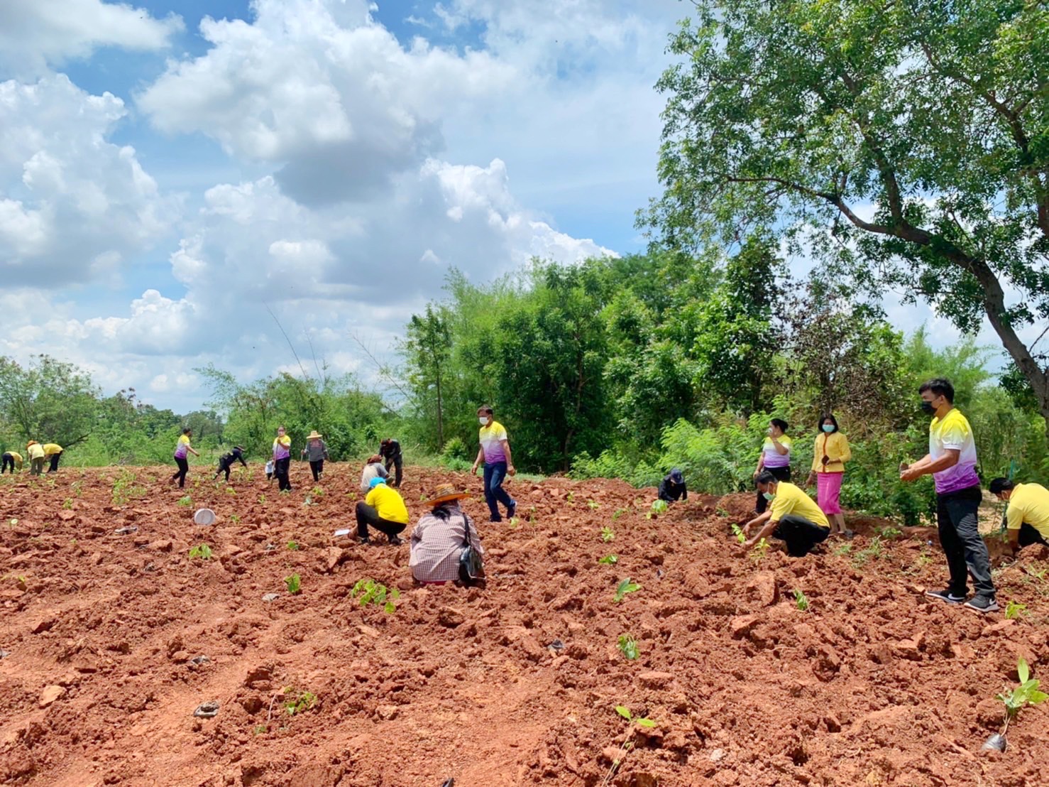 พช.รวมใจไทย ปลูกต้นไม้ เพื่อแผ่นดิน สืบสานสู่ 100 ล้านต้น
