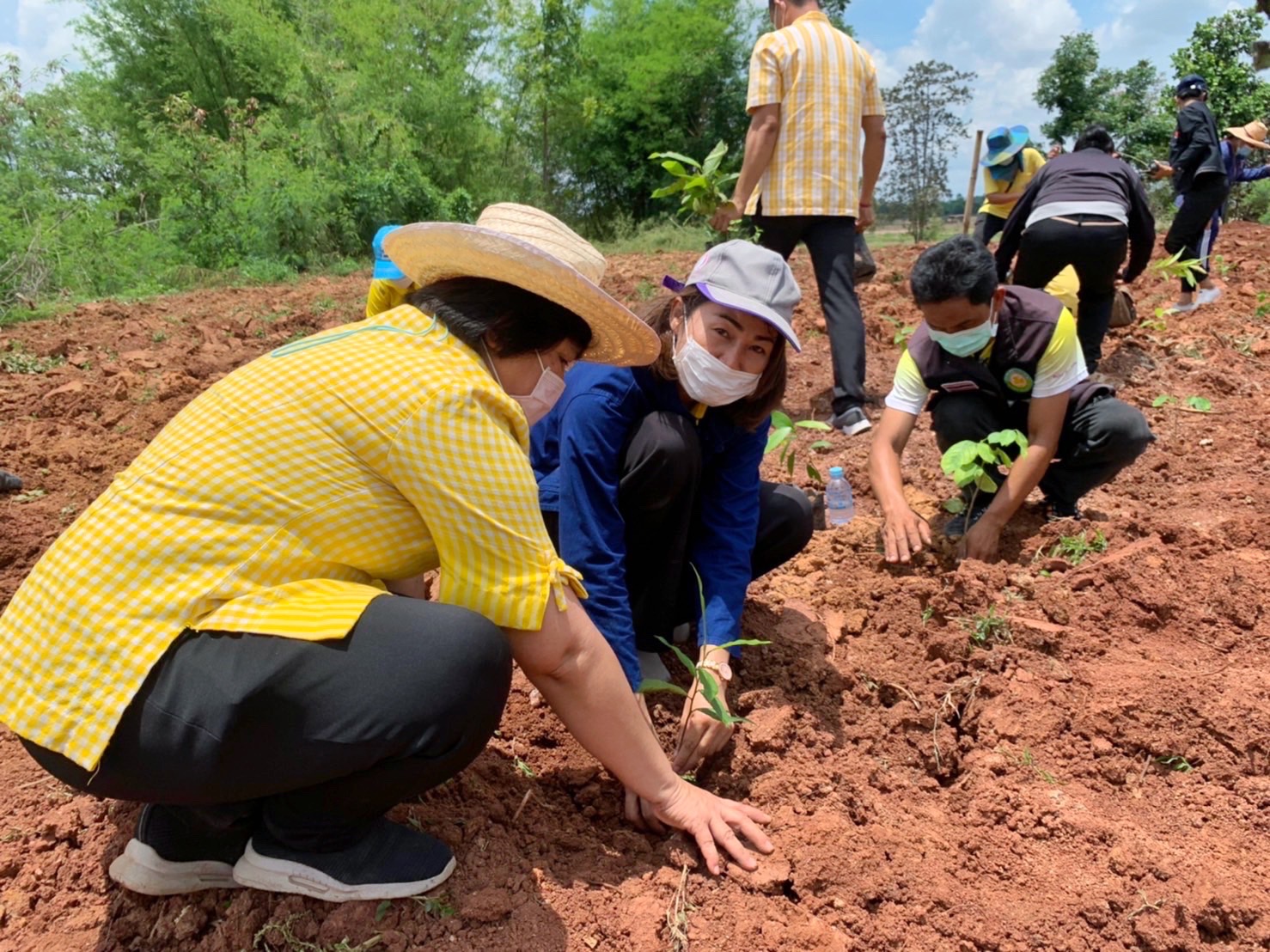 พช.รวมใจไทย ปลูกต้นไม้ เพื่อแผ่นดิน สืบสานสู่ 100 ล้านต้น