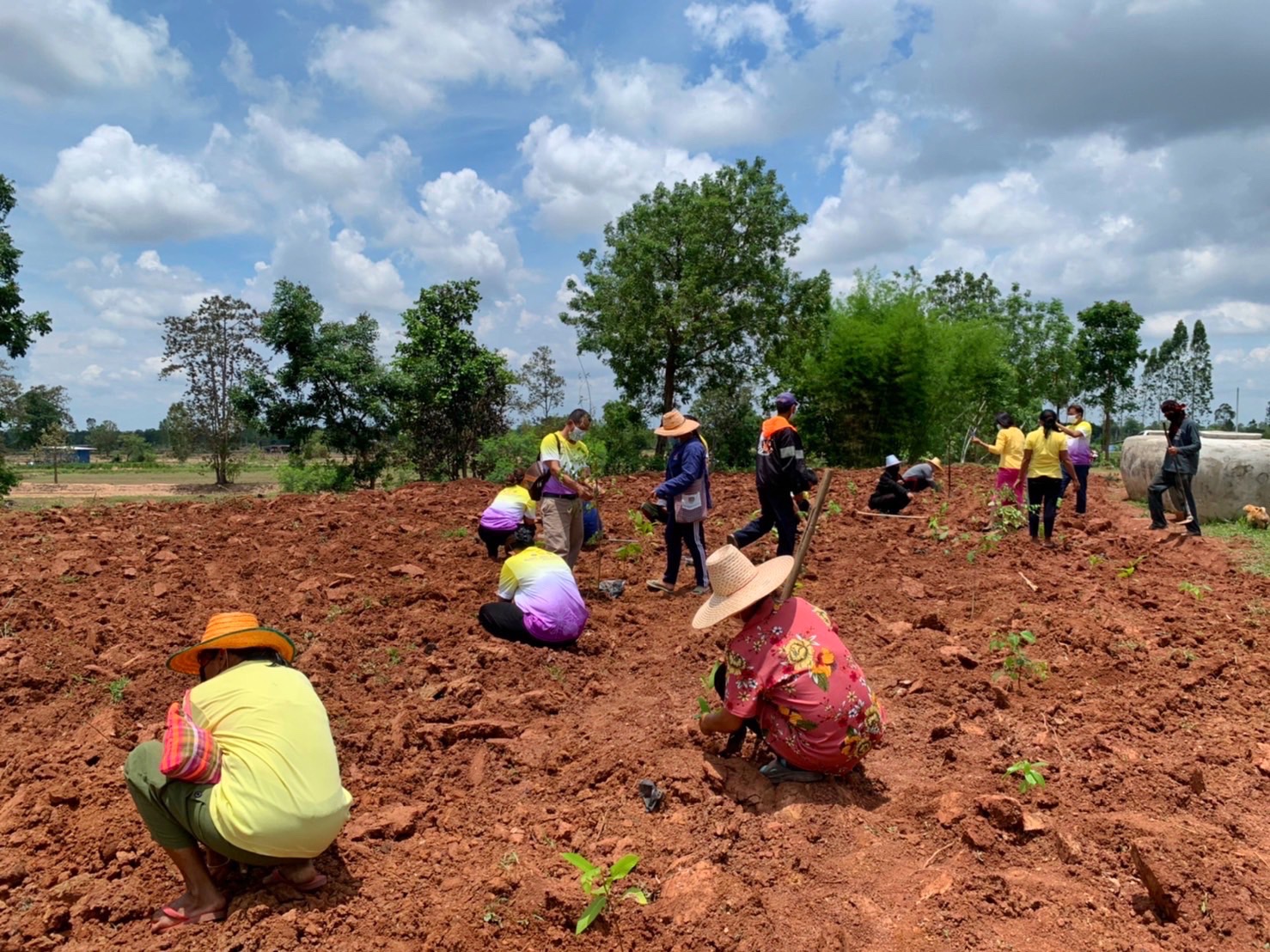 พช.รวมใจไทย ปลูกต้นไม้ เพื่อแผ่นดิน สืบสานสู่ 100 ล้านต้น