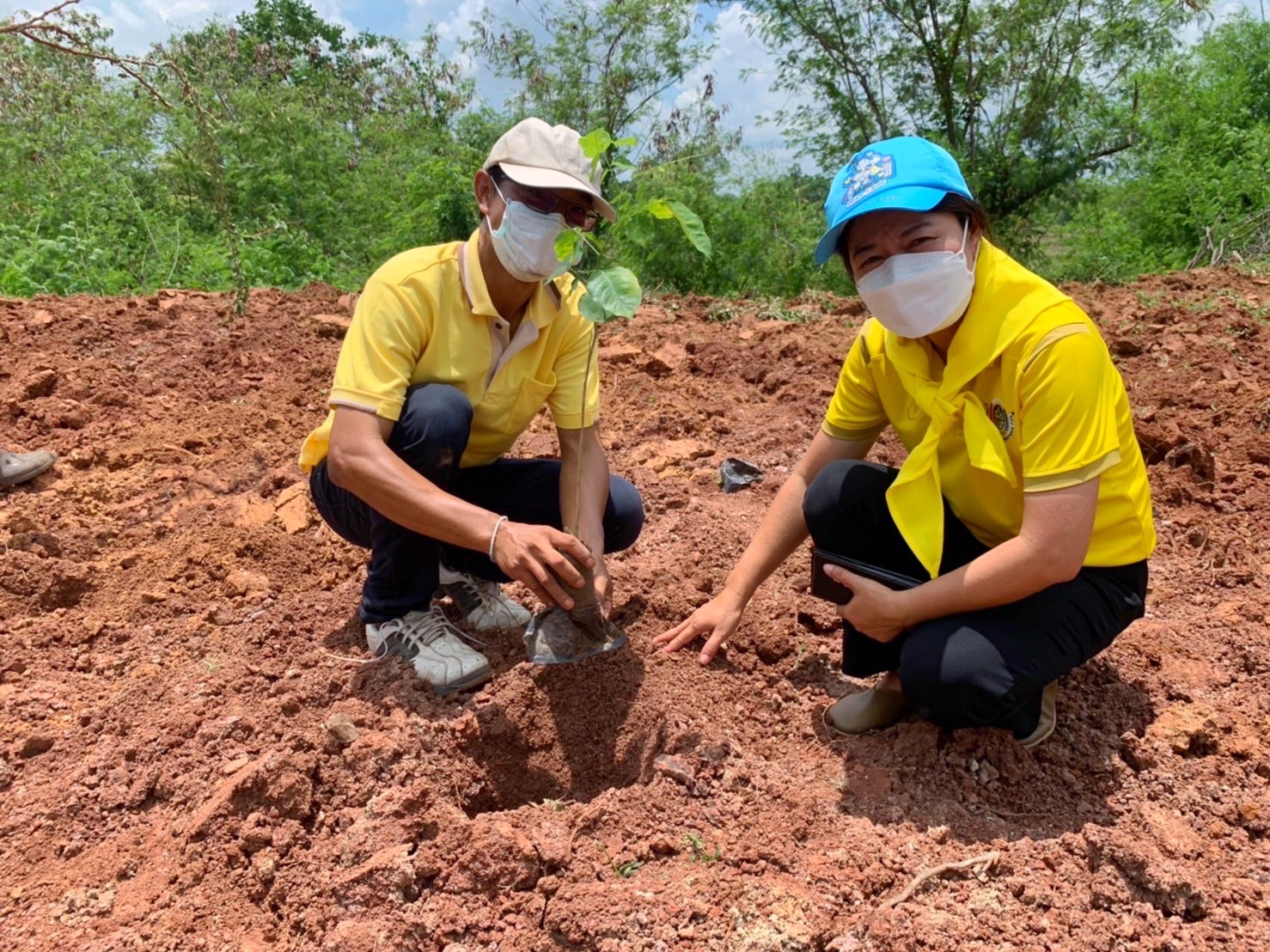 พช.รวมใจไทย ปลูกต้นไม้ เพื่อแผ่นดิน สืบสานสู่ 100 ล้านต้น