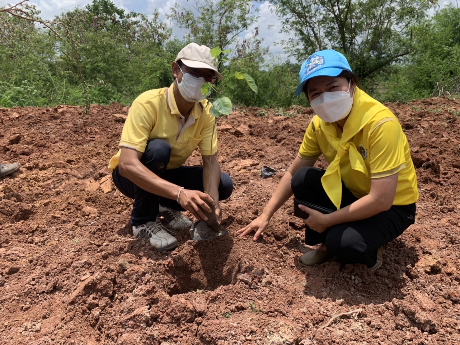 พช.รวมใจไทย ปลูกต้นไม้ เพื่อแผ่นดิน สืบสานสู่ 100 ล้านต้น