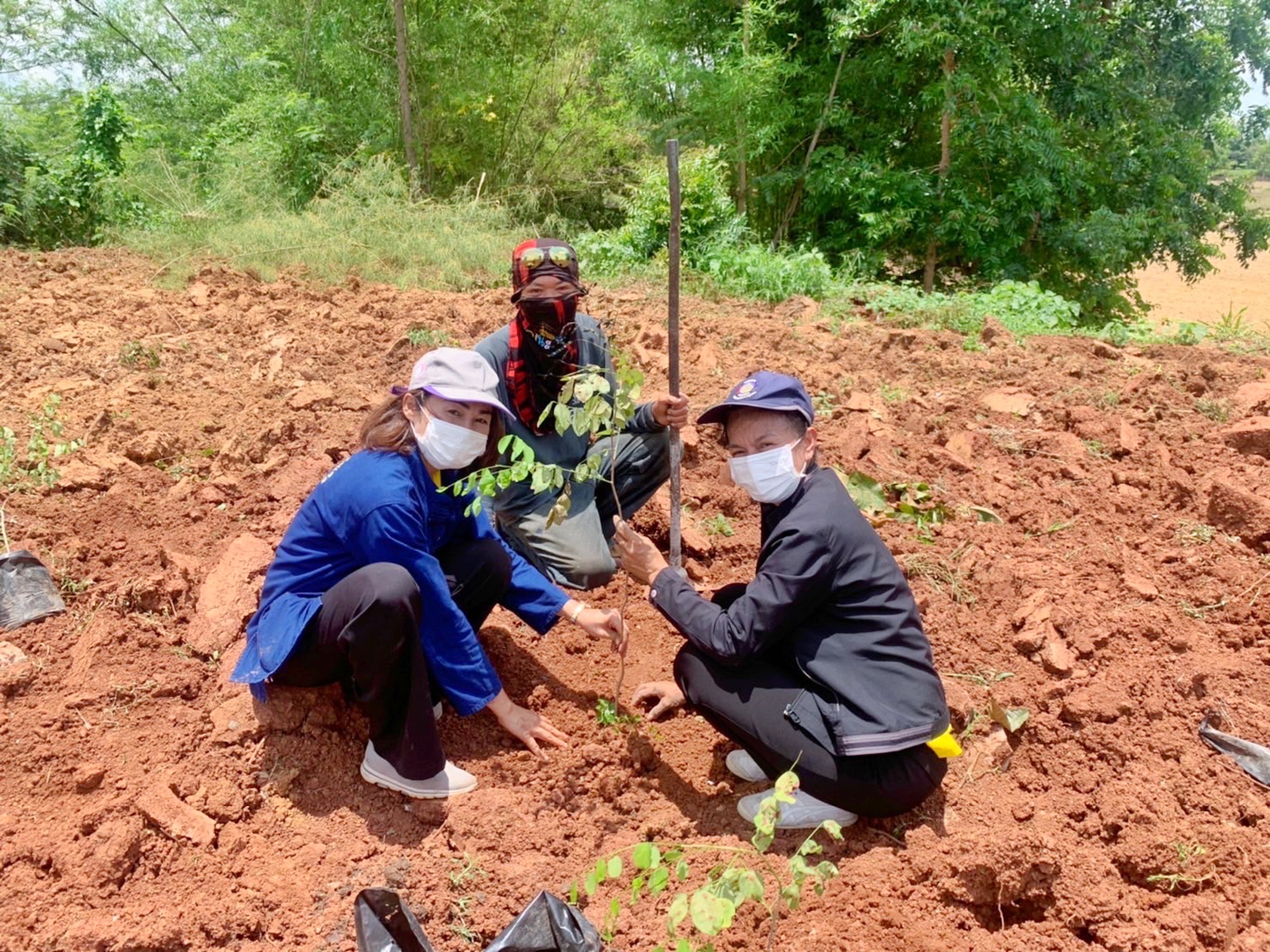พช.รวมใจไทย ปลูกต้นไม้ เพื่อแผ่นดิน สืบสานสู่ 100 ล้านต้น