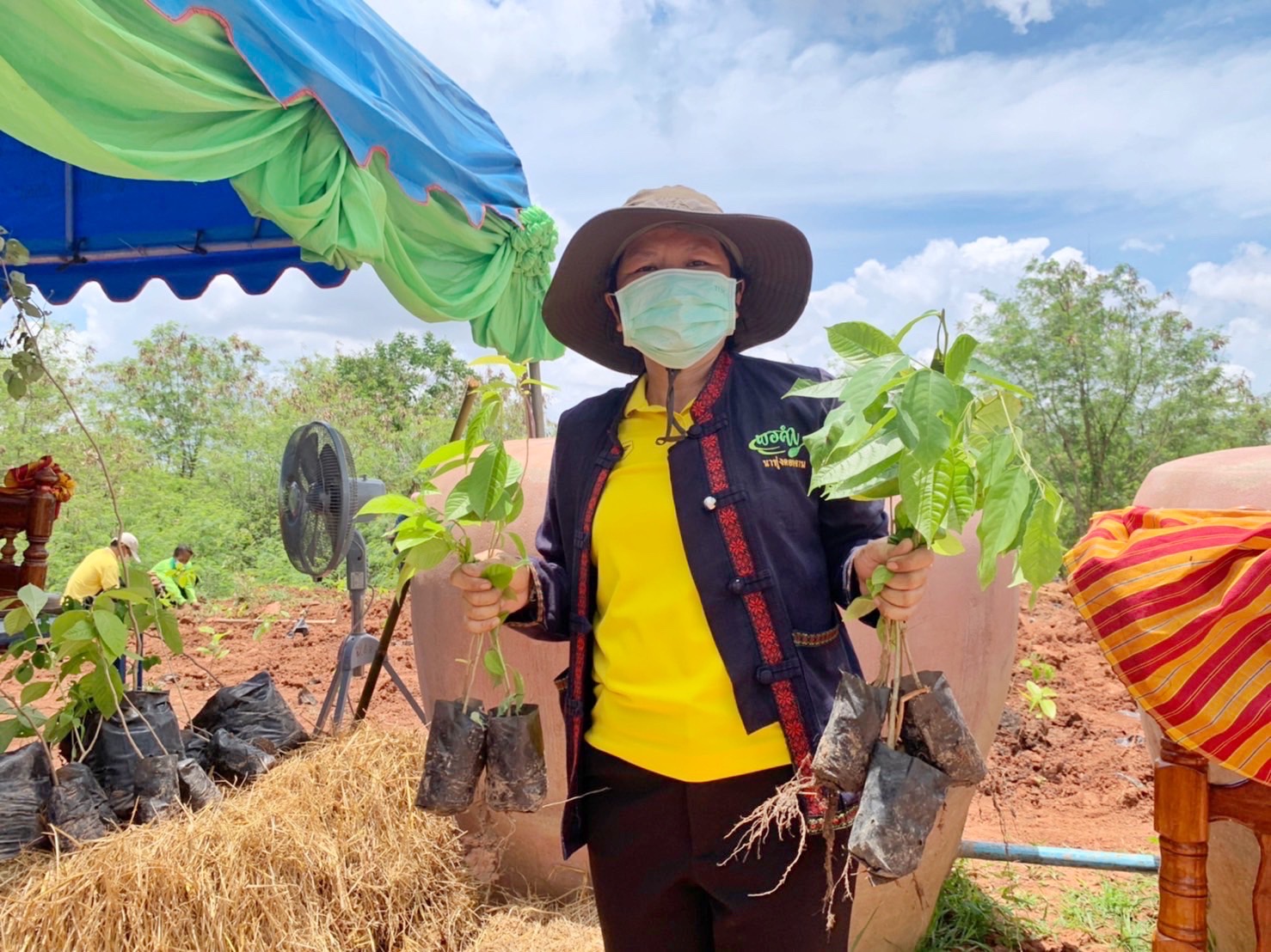 พช.รวมใจไทย ปลูกต้นไม้ เพื่อแผ่นดิน สืบสานสู่ 100 ล้านต้น