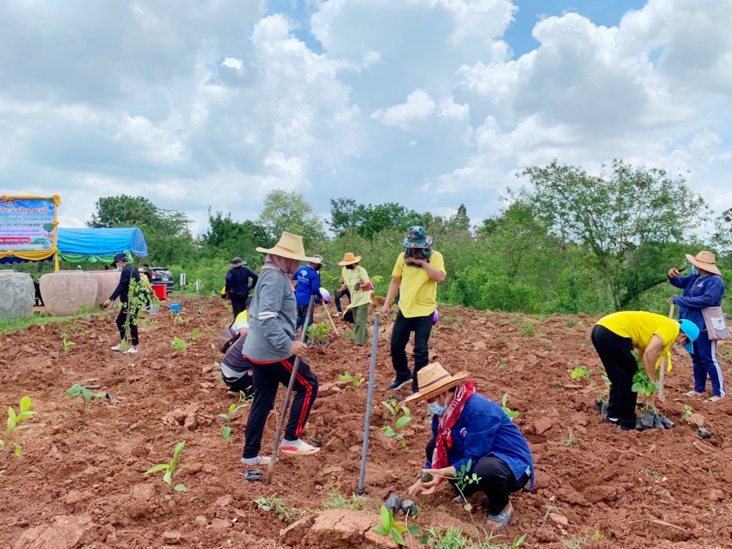 พช.รวมใจไทย ปลูกต้นไม้ เพื่อแผ่นดิน สืบสานสู่ 100 ล้านต้น