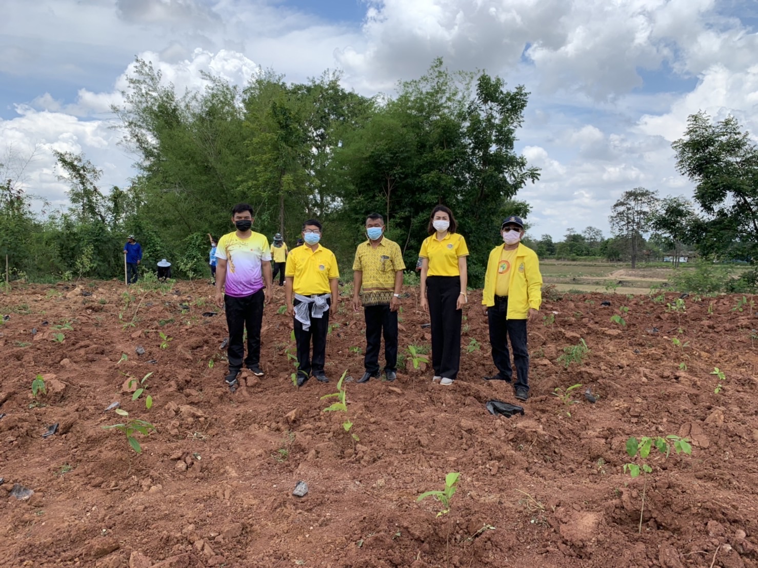 พช.รวมใจไทย ปลูกต้นไม้ เพื่อแผ่นดิน สืบสานสู่ 100 ล้านต้น