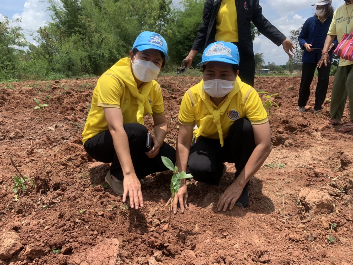 พช.รวมใจไทย ปลูกต้นไม้ เพื่อแผ่นดิน สืบสานสู่ 100 ล้านต้น