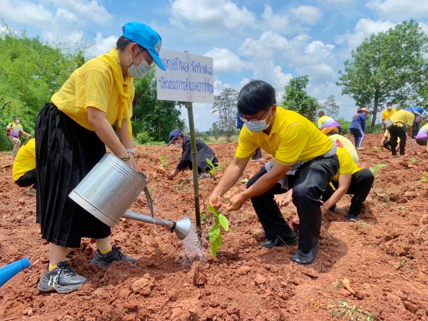 พช.รวมใจไทย ปลูกต้นไม้ เพื่อแผ่นดิน สืบสานสู่ 100 ล้านต้น